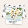 Nature's Harmony Edition 2 coloring book cover