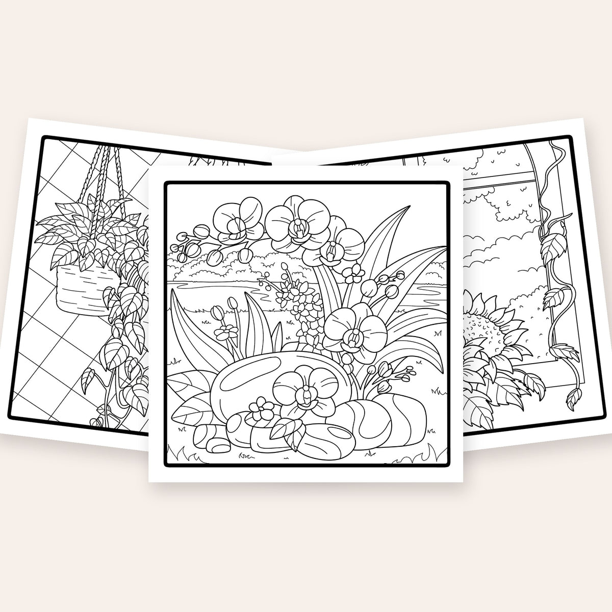 Inside Nature's Harmony Edition 2 adult coloring book: orchids, hanging plants and sunflower window pages