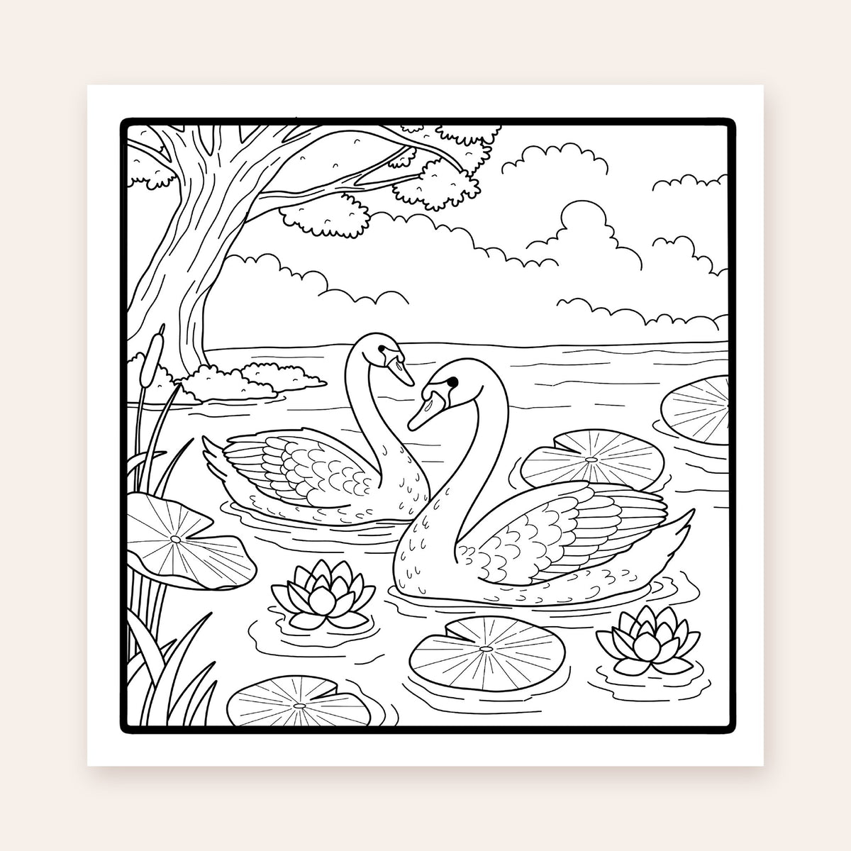 Nature's Harmony Edition 2 coloring page: two swans among lily pads